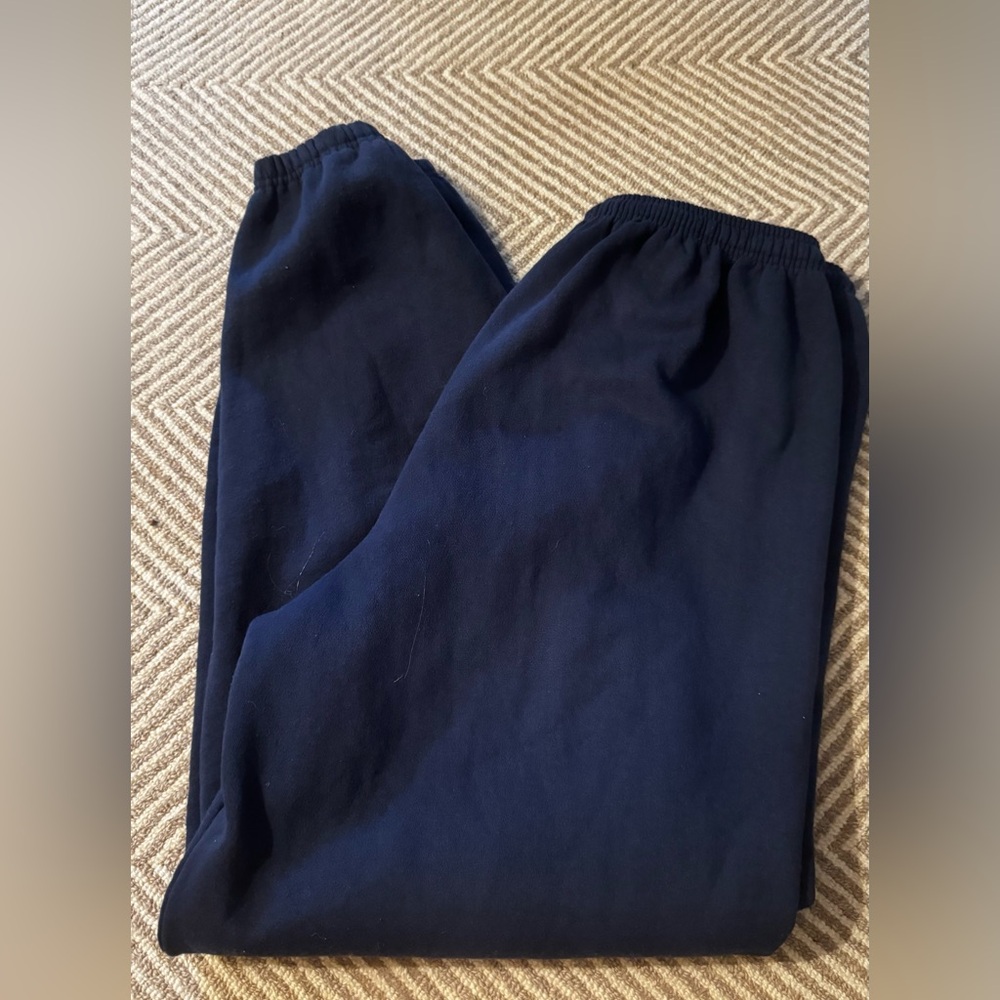 Hanes Men's Deep Blue Joggers